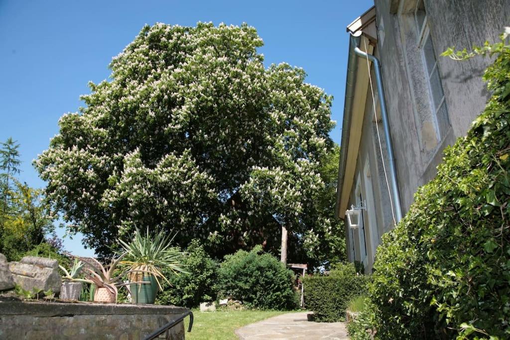 Haus Keppelborg: Zi Ferdinand Mit Rosengartenblick Heek Exterior photo